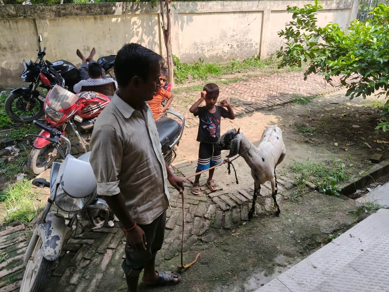 Livestock vaccination completed on paper; villagers say the team never arrived.