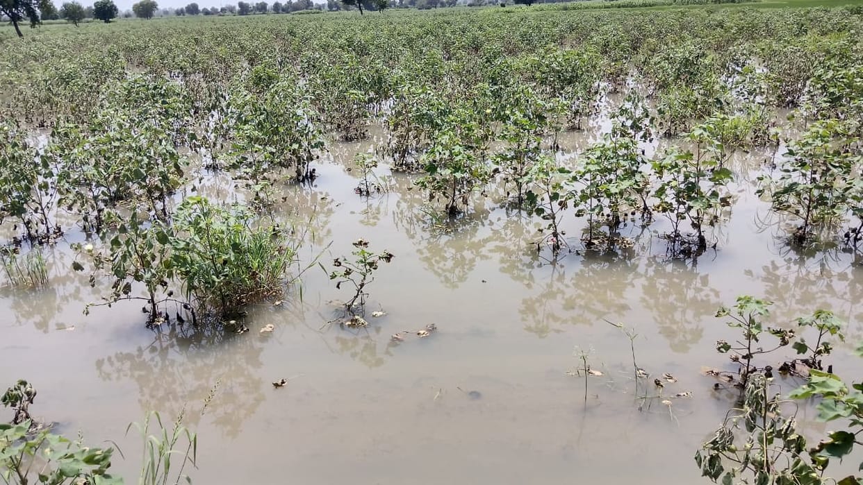 113 crore transferred to the accounts of 19,000 farmers