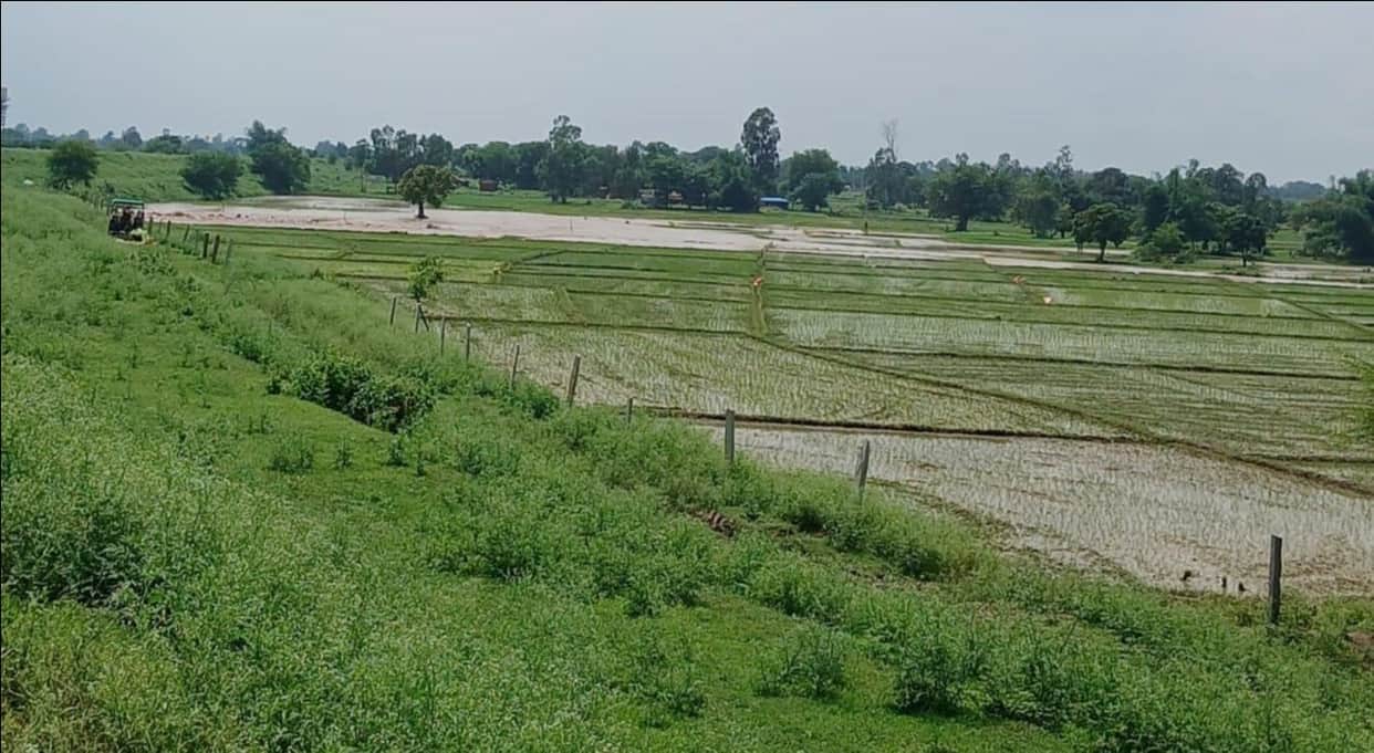 Dhauwa Pump Canal breaches; 100 bighas of farmland submerged