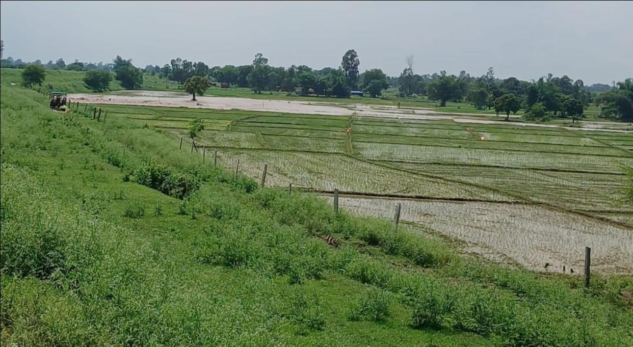 Dhauwa Pump Canal breaches; 100 bighas of farmland submerged