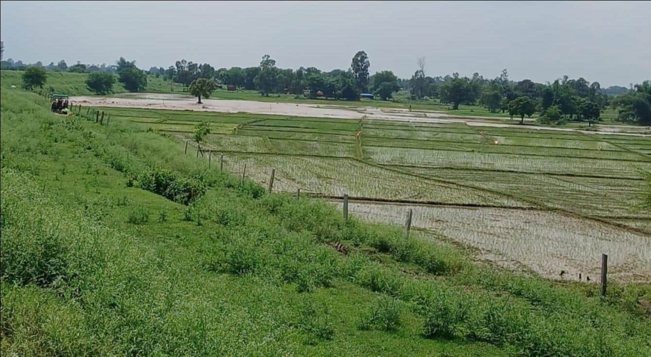 घोरावल क्षेत्र के धोवा पंप कैनाल की नहर में लीकेज से जलमग्न फसल। स्रोत जागरूक पाठक