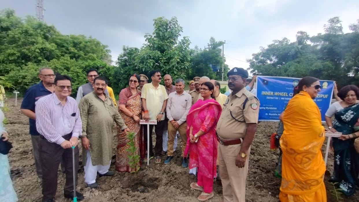 Saplings planted with a pledge to protect the environment.
