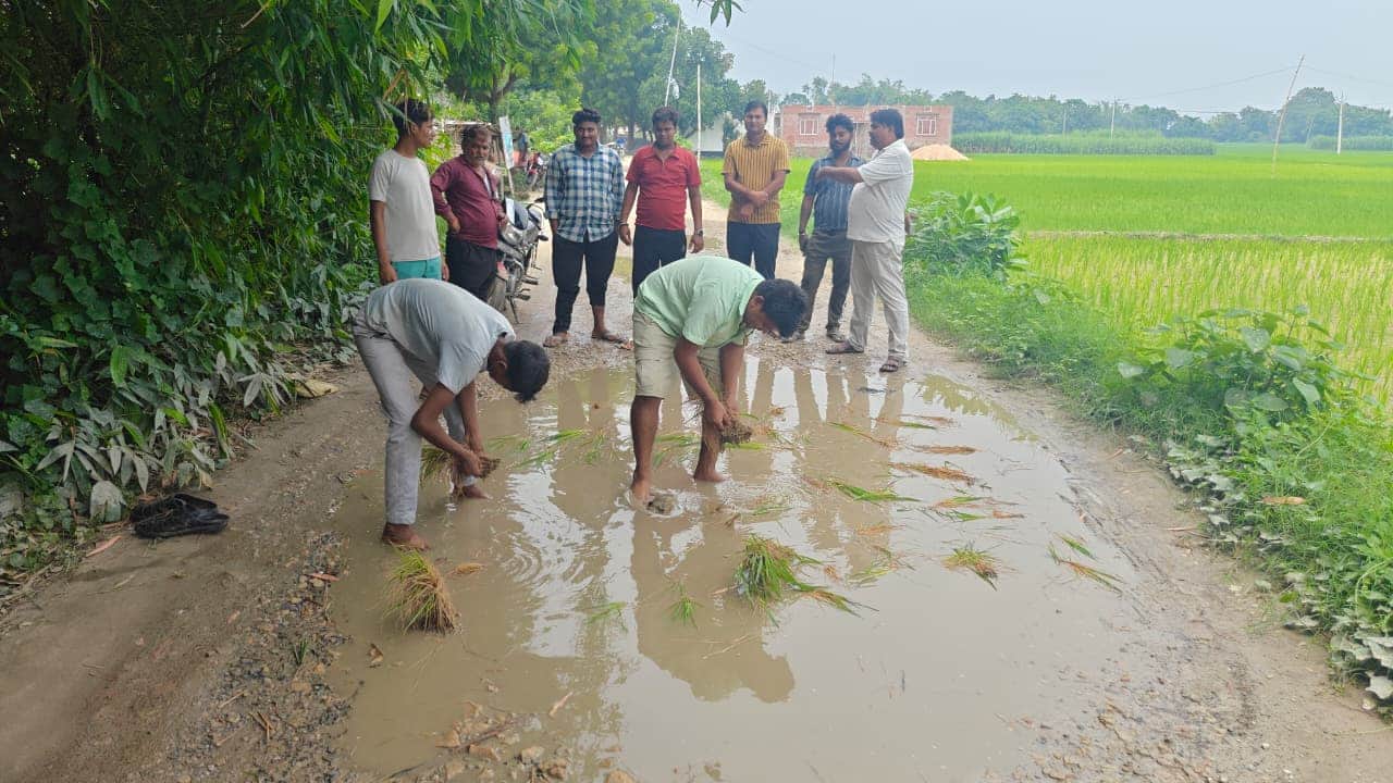 सुजानगंज--- सड़क पर धान लगा कर विरोध करते ग्रामीण। संवाद