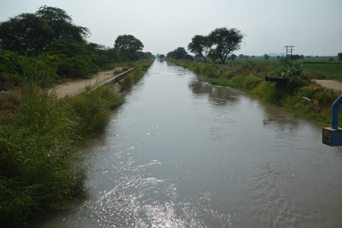 Charkhi Dadri News: जिले की नहरों के लिए मिला 1000 क्यूसिक पानी, सिंचाई व पेयजल समस्या से राहत मिलने की उम्मीद