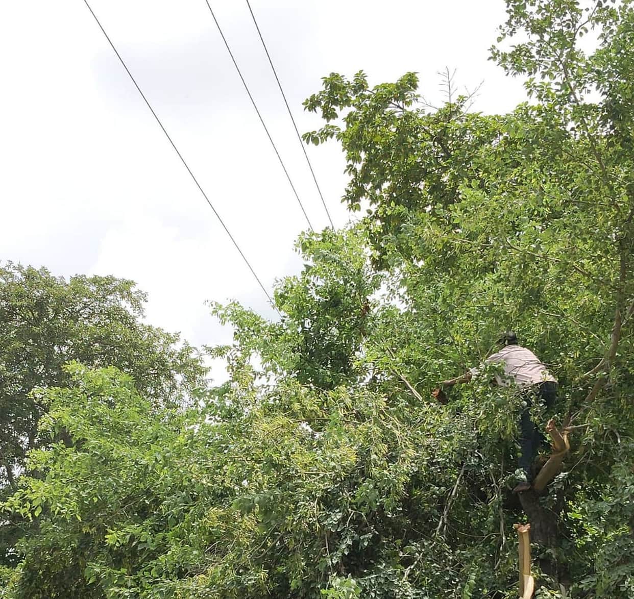Substation strained by breakdowns and local faults.