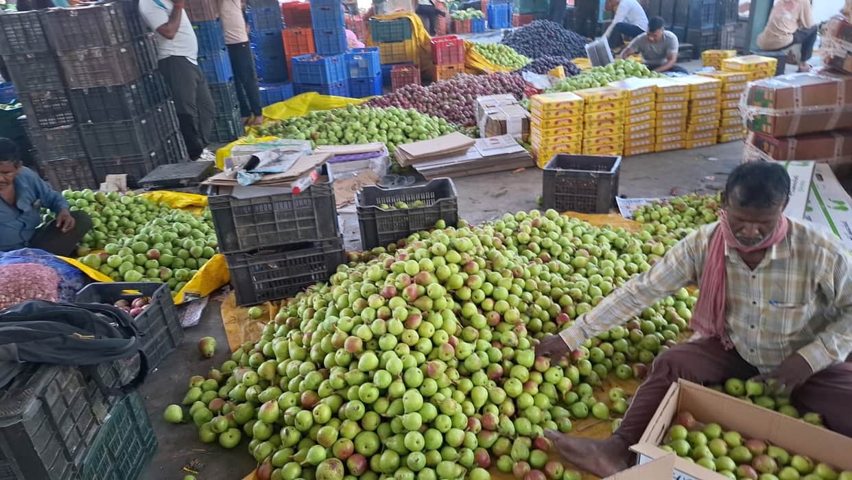 Babugosha boosts growers' earnings; fetching better prices.