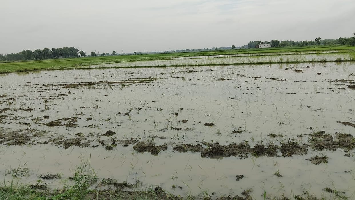 Relief from heavy rain late at night; humidity rose due to the afternoon sun.