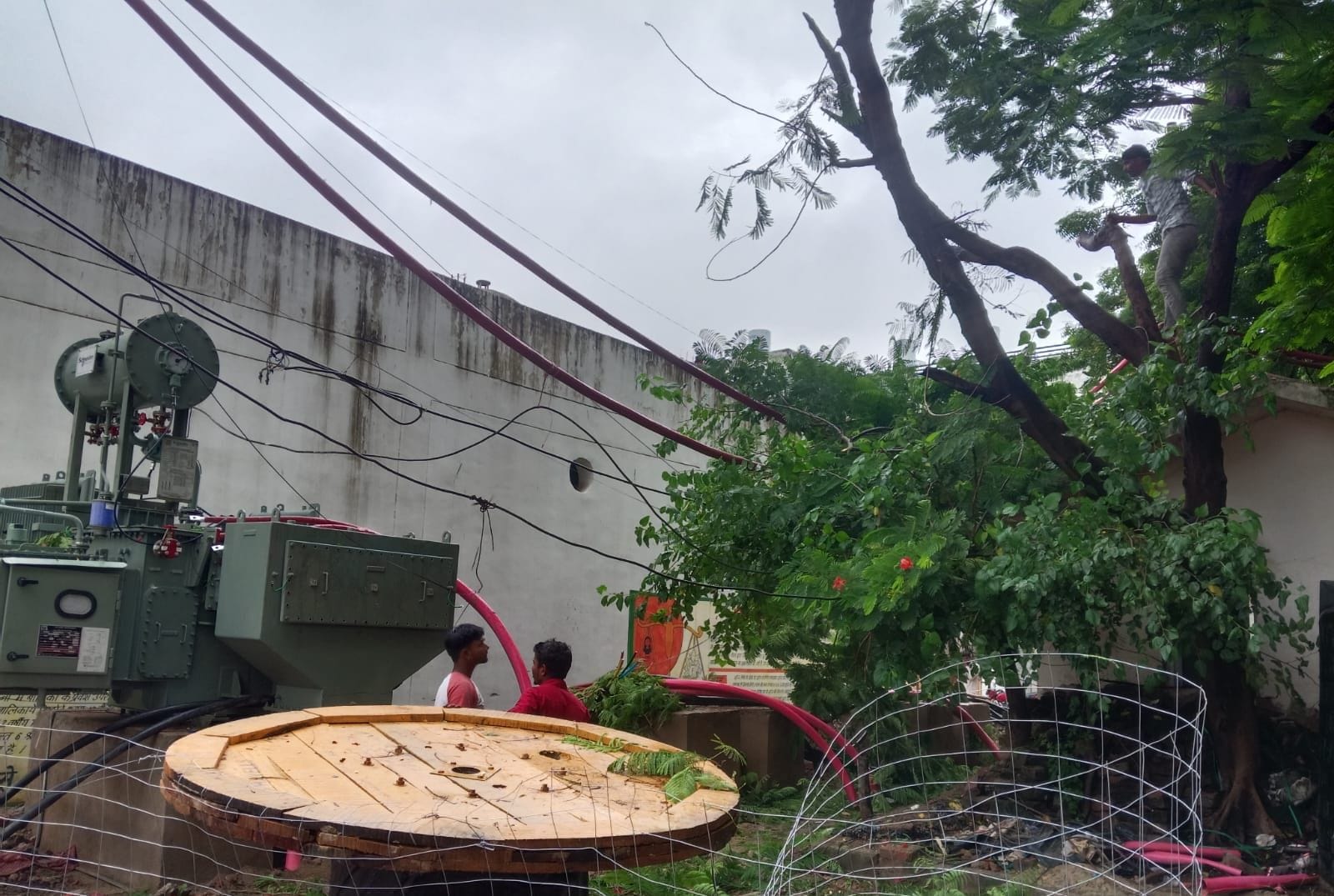 फोटो-10- मेडिकल कॉलेज में विद्युत लाइन के पास पेड़ की छटाई करते बिजली कर्मी। संवाद &nbsp;