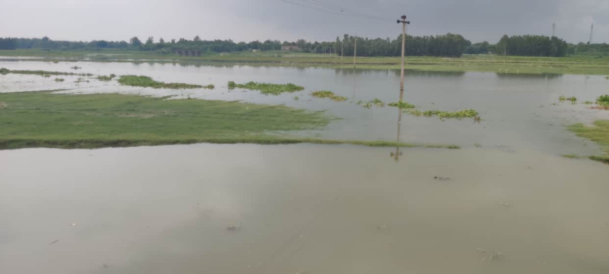 unnao news