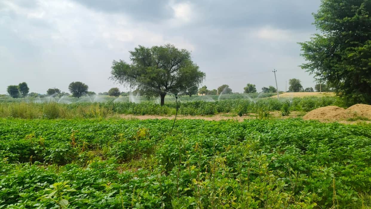 Hopes for rain dashed again; humidity adds to the discomfort.
