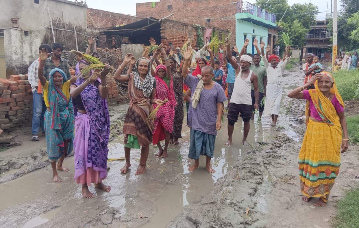 Protest registered by planting paddy on the road.