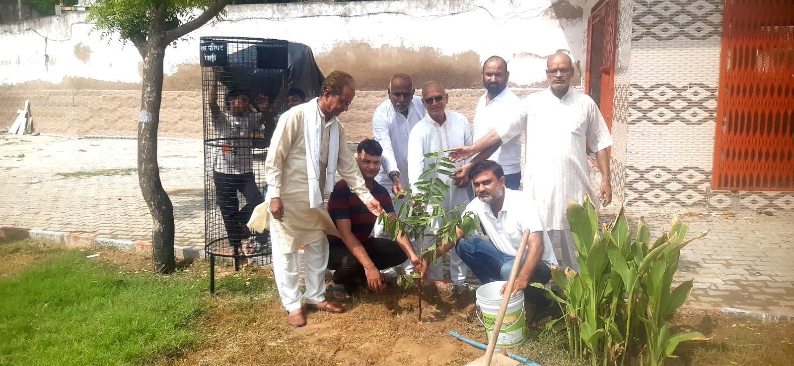 नई आबादी ठठेरा वाली बगीची में पौधरोपण करते संस्था के सदस्य। स्त्रोत: संस्था