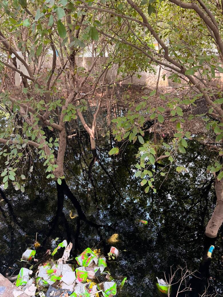 Dirty sewer water is filling the greenbelt, anger among the people of Sector-122.