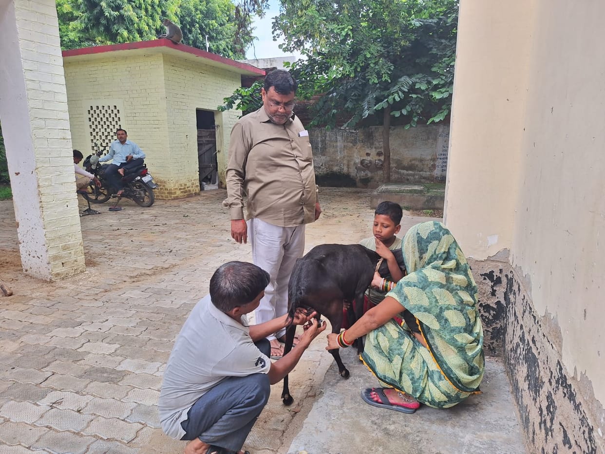 The team did not reach the villages, yet vaccination was completed on paper.