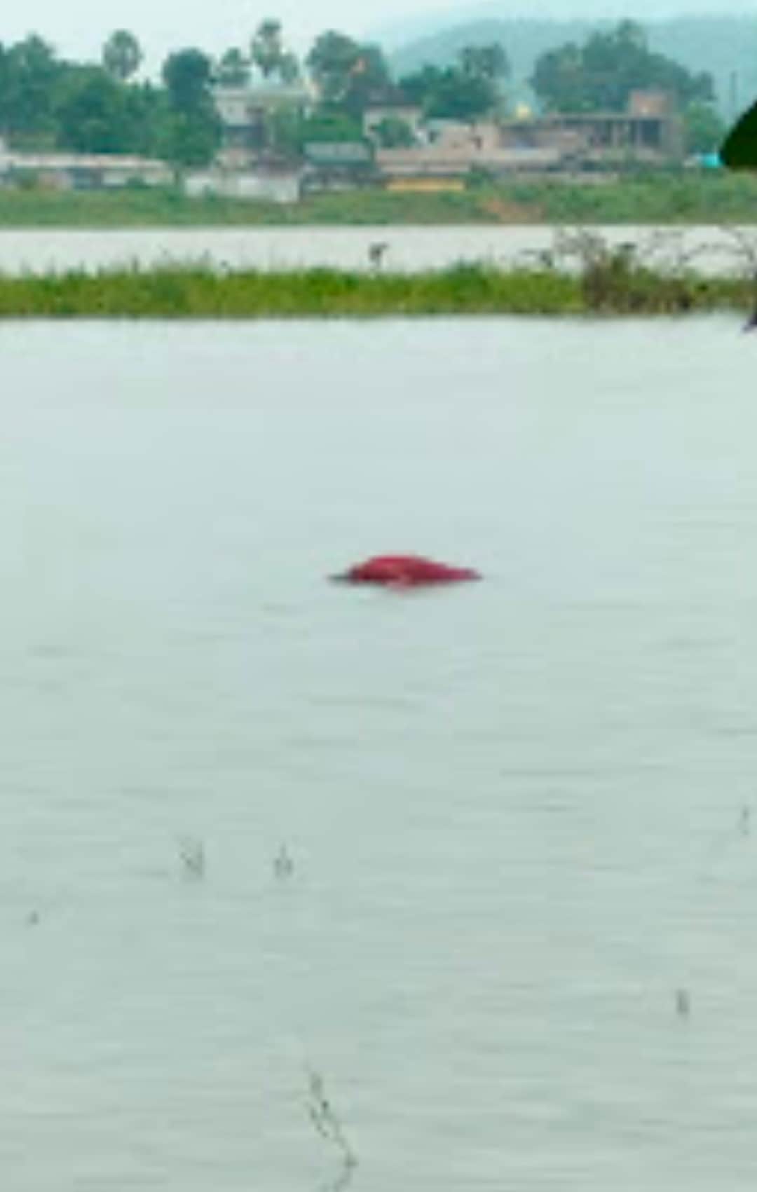 scooter was parked on bank of pond for 3 days, there was a stir after body of teacher was found in big pond