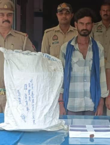 Burglar who stole from two houses arrested