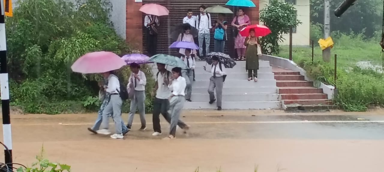 गगाल गांव में सड़क पर जमा हुआ पानी। स्रोत : जागरूक पाठक