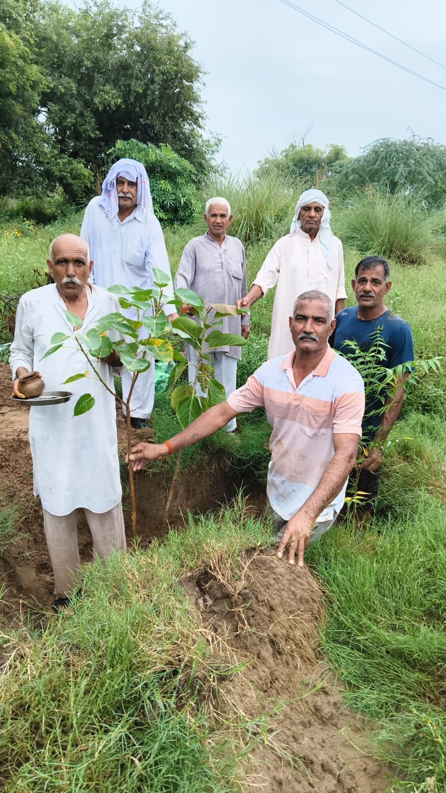 Celebrated birthday by planting saplings.