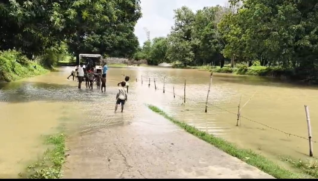 Benevolent monsoon fills paddy fields with water; farmers beam with joy.