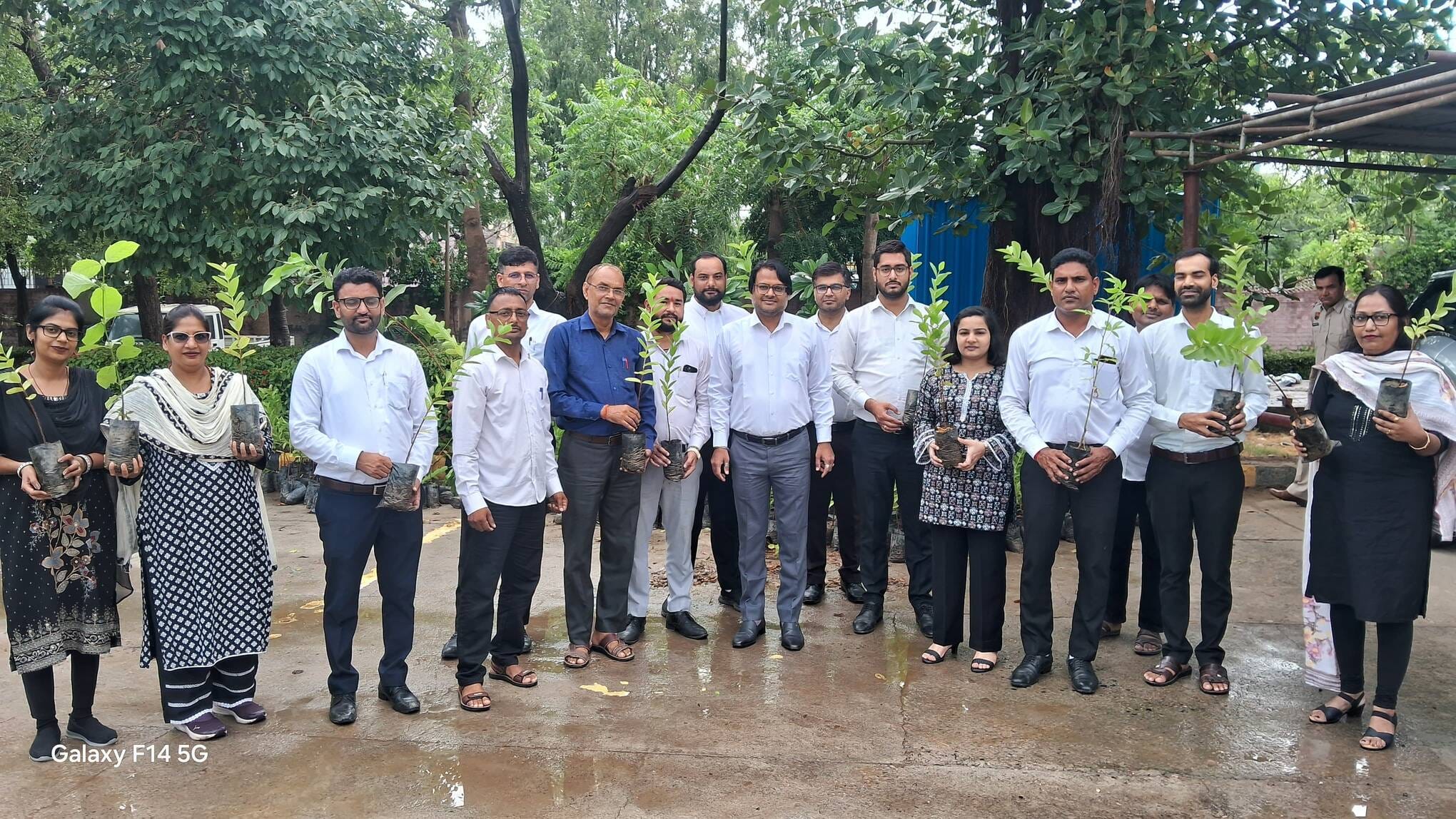 हांसी कोर्ट परिसर में पौधे वितरित करते हुए एसडीजेएम आशुतोष। प्रशासन