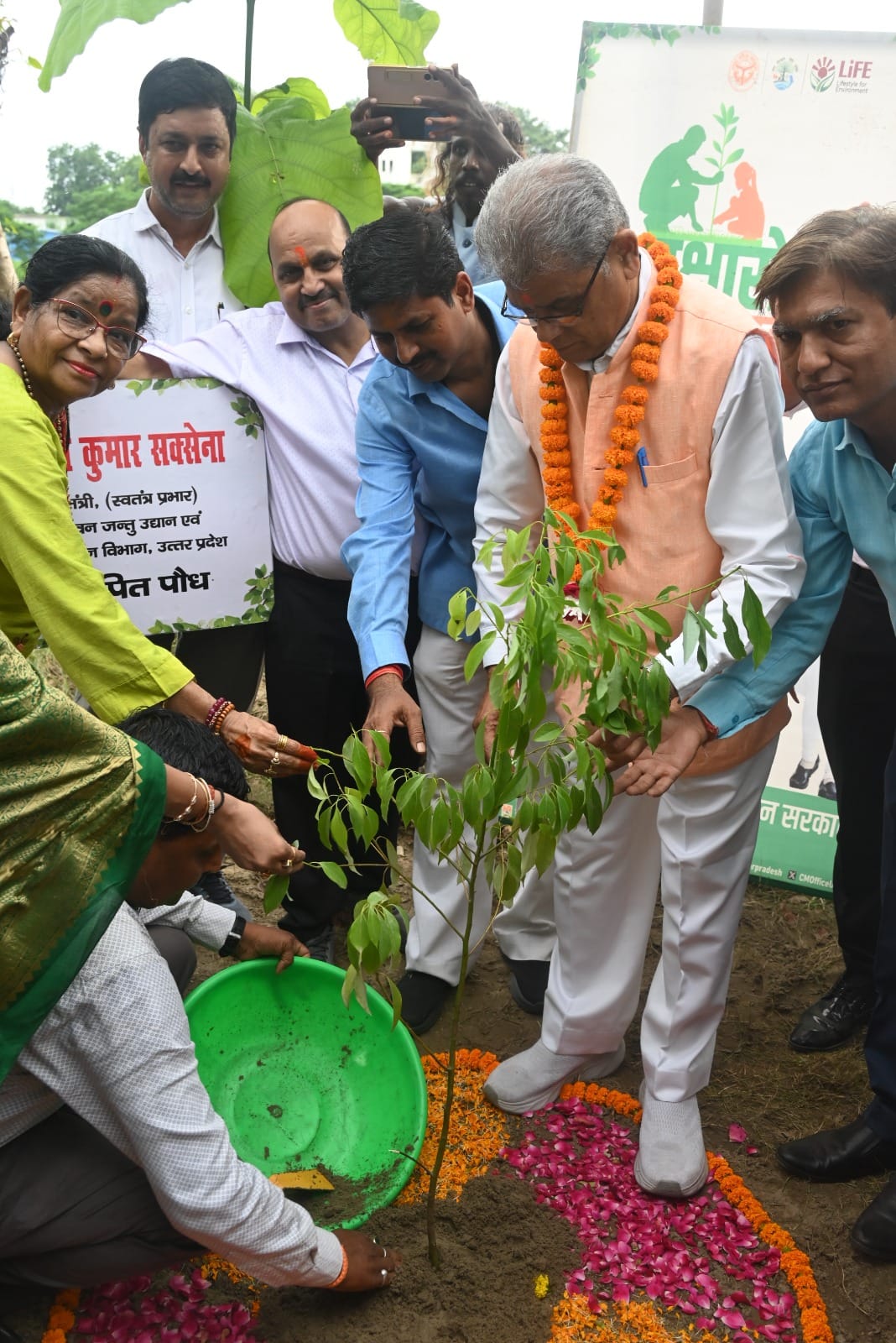 Plant more trees for climate balance.