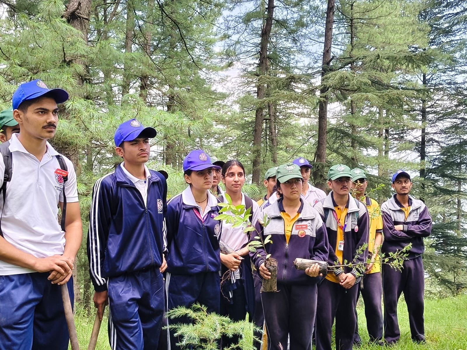 Deodar saplings planted at PM SHRI Vidyalaya Kumarsain
