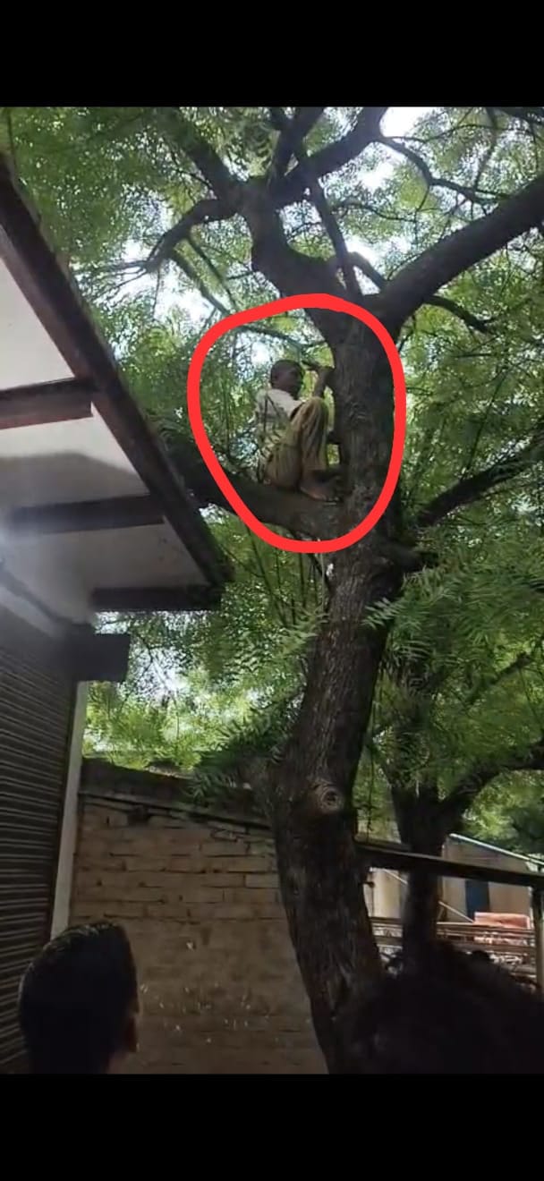 Upset over the failure to measure the land, a farmer climbed a tree and attempted suicide