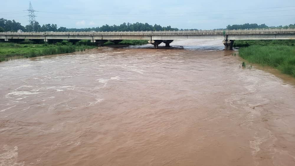 Markanda in spate, water entered the fields in Ambala
