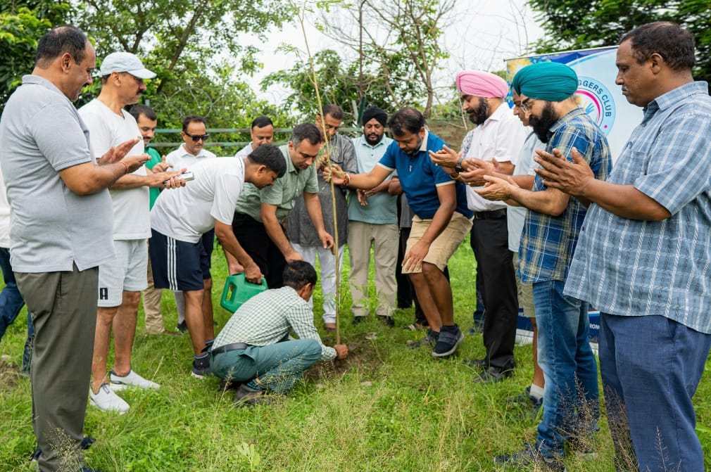 tree plantation by morning jogers club