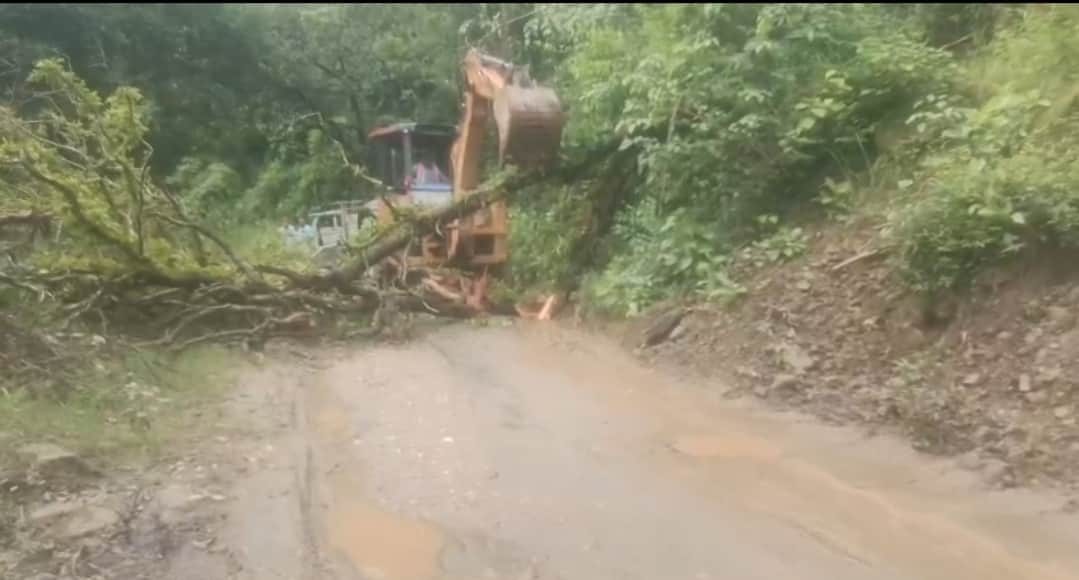 Jamun tree falls on Nalwari-Talmehda road; traffic disrupted for four hours.