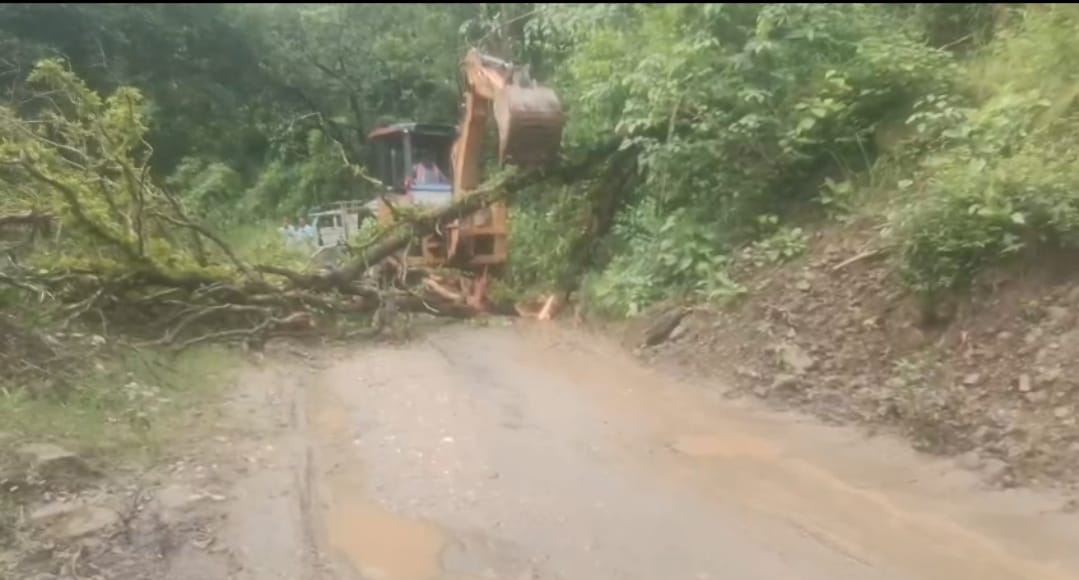 नलवाड़ी- तलमेहड़ा सड़क गिरे पेड़ को हटाती हुई जेसीबी मशीन। संवाद