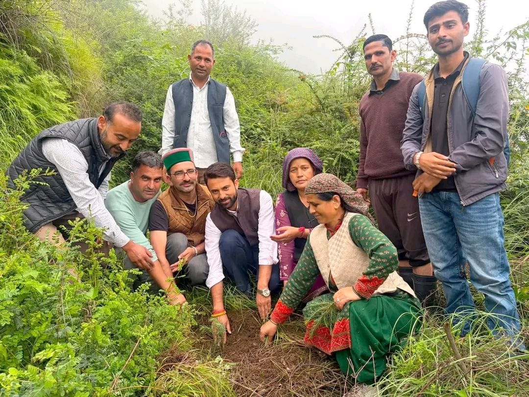 BJP conducted a tree plantation drive in Narain
