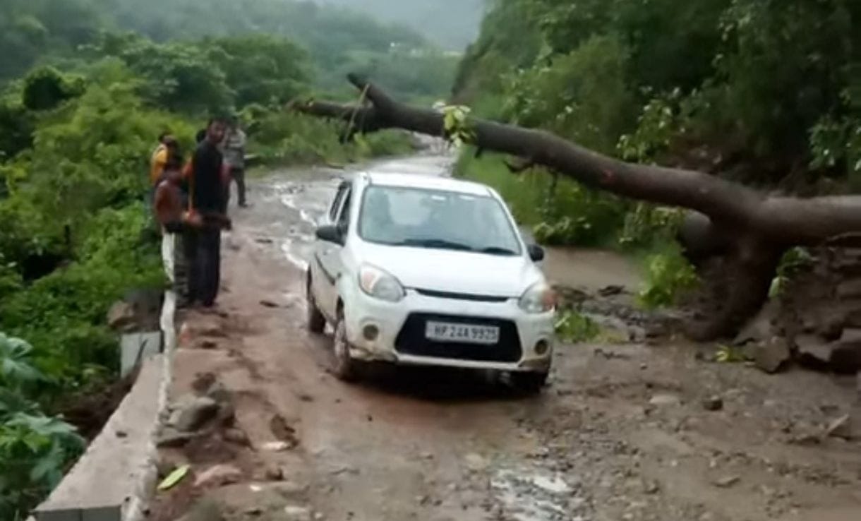 Tree falls on Ramshahr-Nalagarh road; road remains closed for three hours.