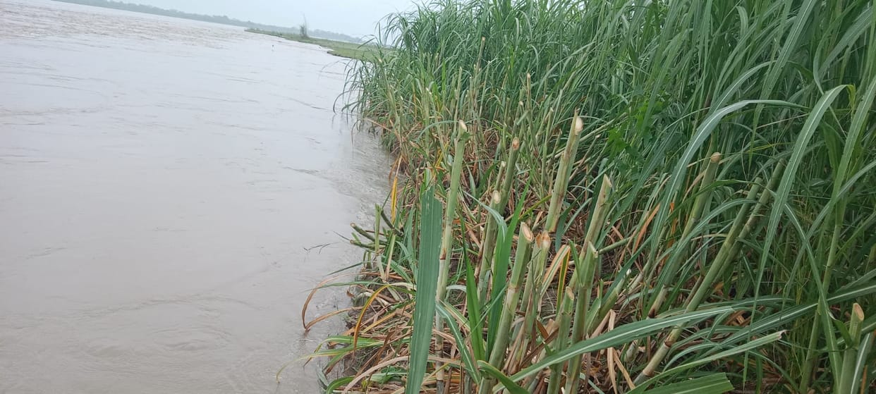 Sharda river swallowed several acres of land in 15 days