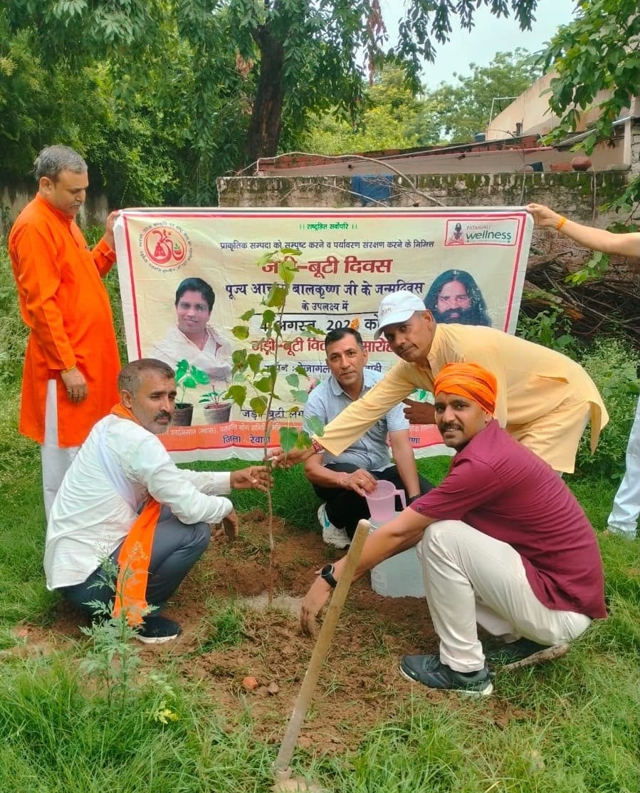 Peepal saplings were planted in the Canal Colony.