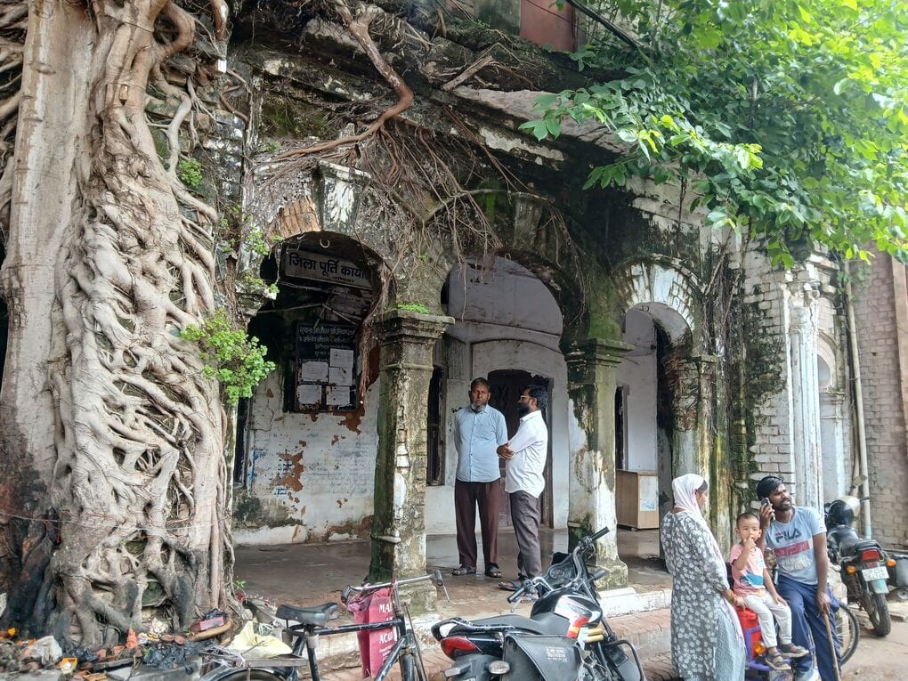 डीएसओ कार्यालय में दीवार पर उग आया पीपल का पेड़।