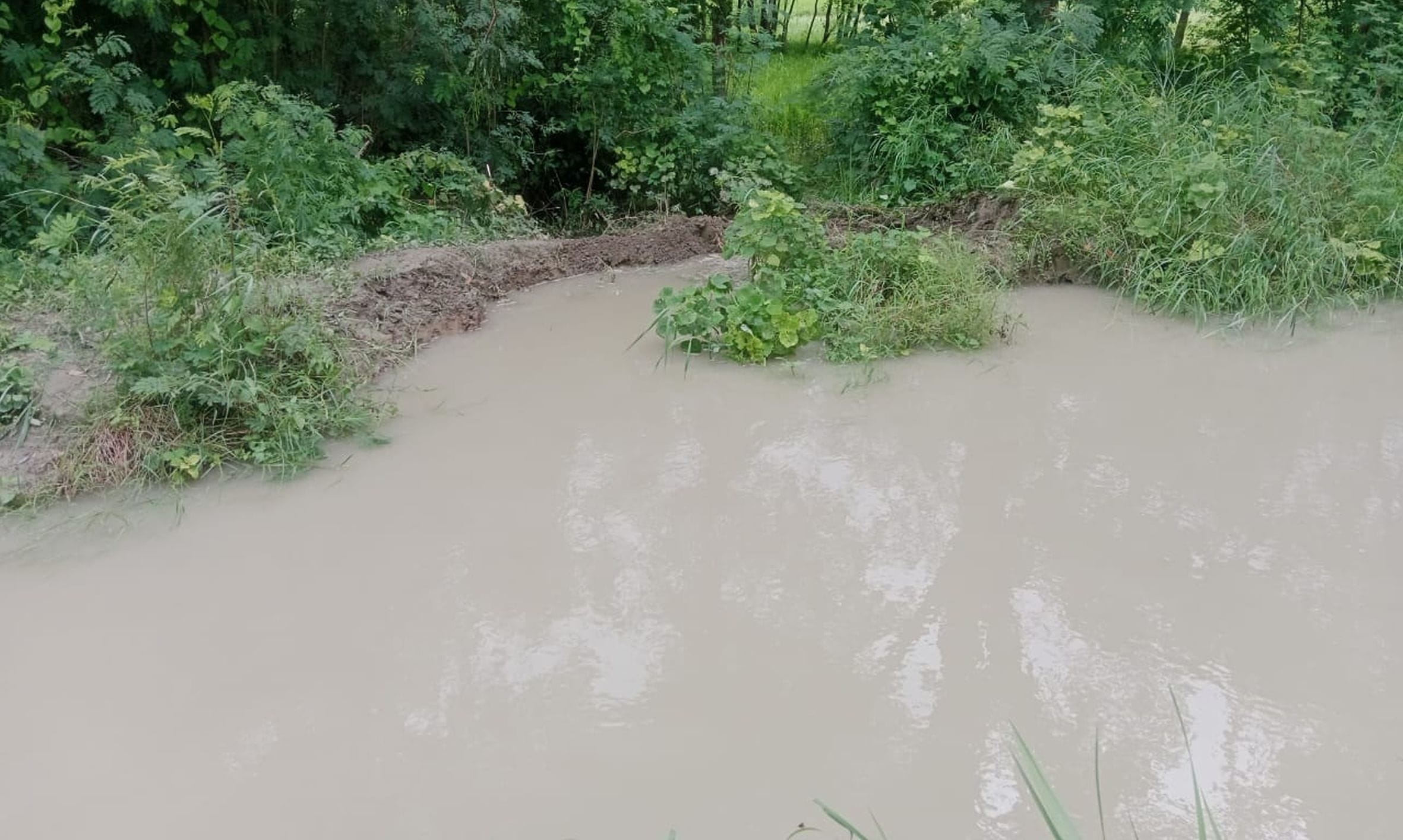 डलमऊ क्षेत्र में गंगा का जलस्तर बढ़ा। 