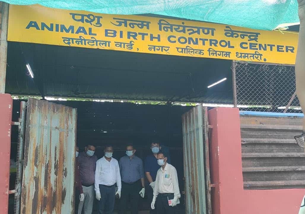 Dhamtari News: 947 Stray Dogs Sterilised Under ABC Drive, Rabies Prevention and Population Control in Focus