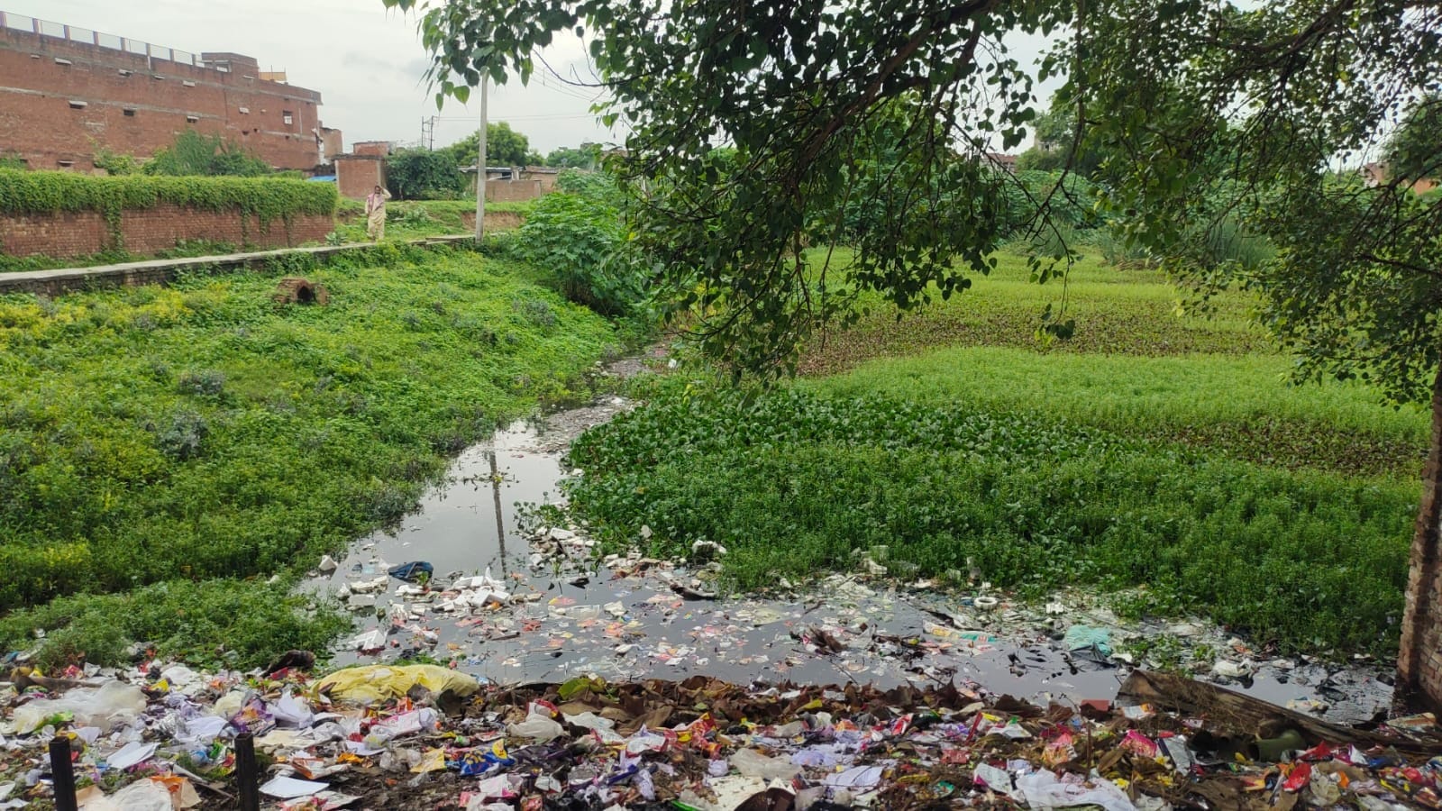 घोसिया नगर में बदहाल पड़ा पक्का पोखरा। संवाद