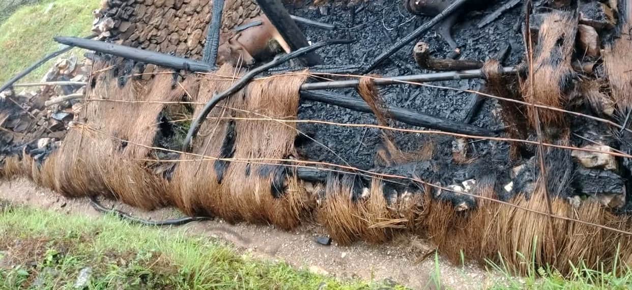 Cows and buffaloes burnt to death in a fire at a cowshed
