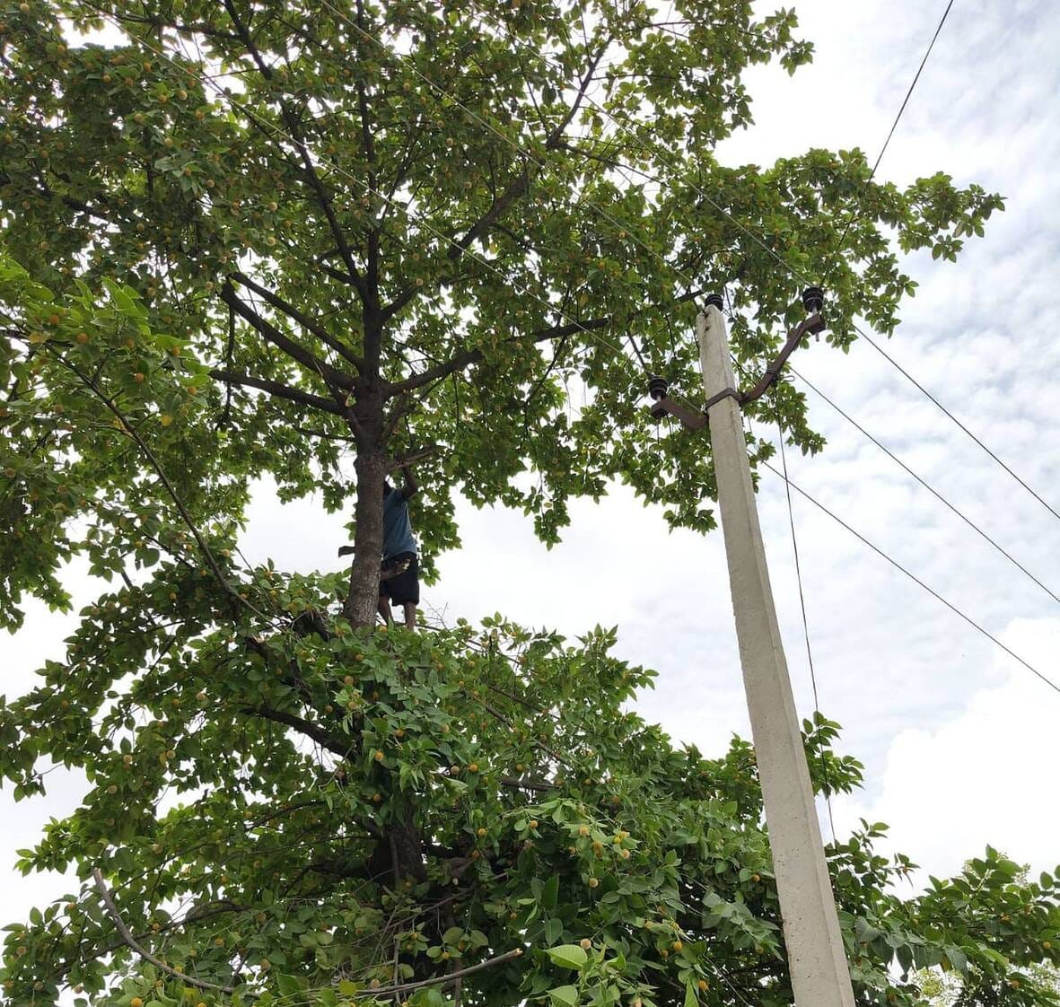 Hardship increases due to 8- to 10-hour power cuts.