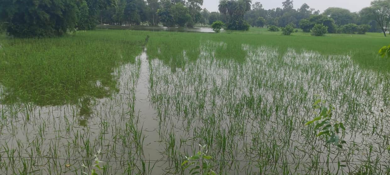 3.81 lakh cusecs of water released from barrages; alert issued for the low-lying riverine areas