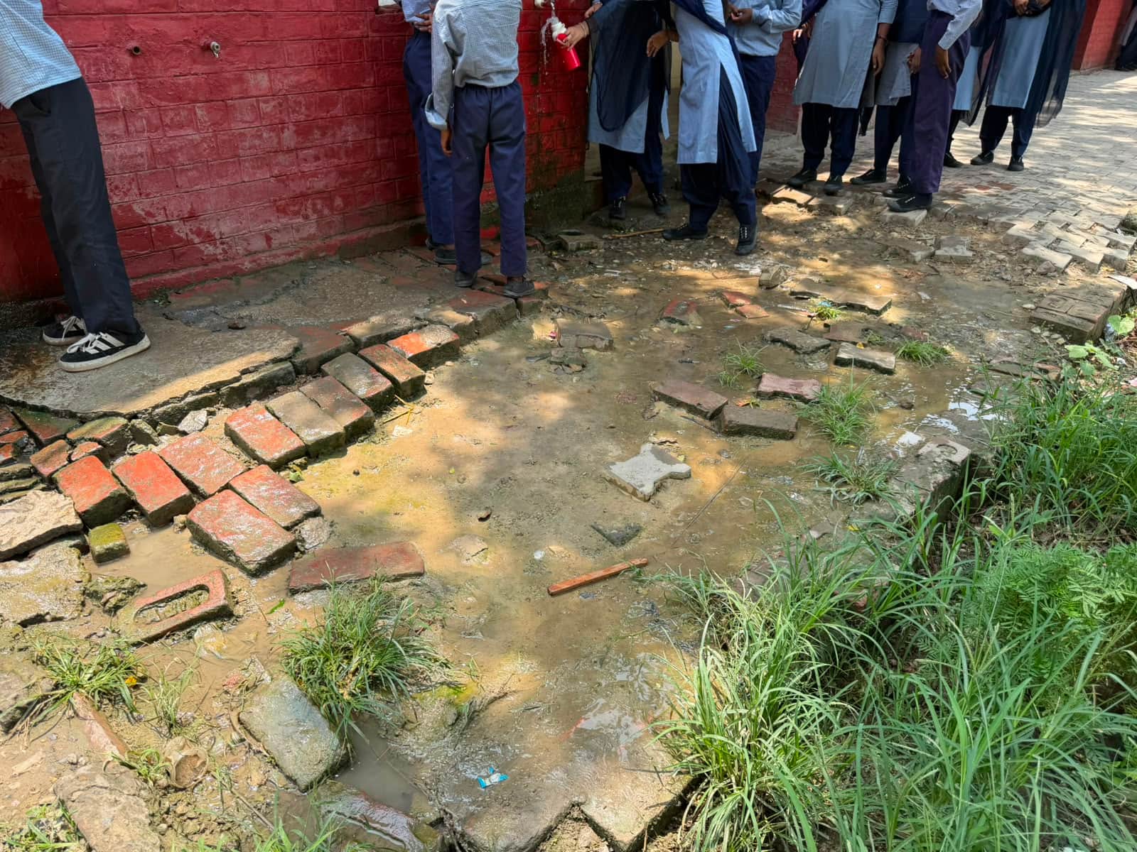 स्कूल में जमा काई संवाद