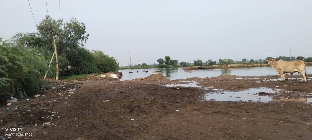 Contaminated water from overflowing pond reaching homes