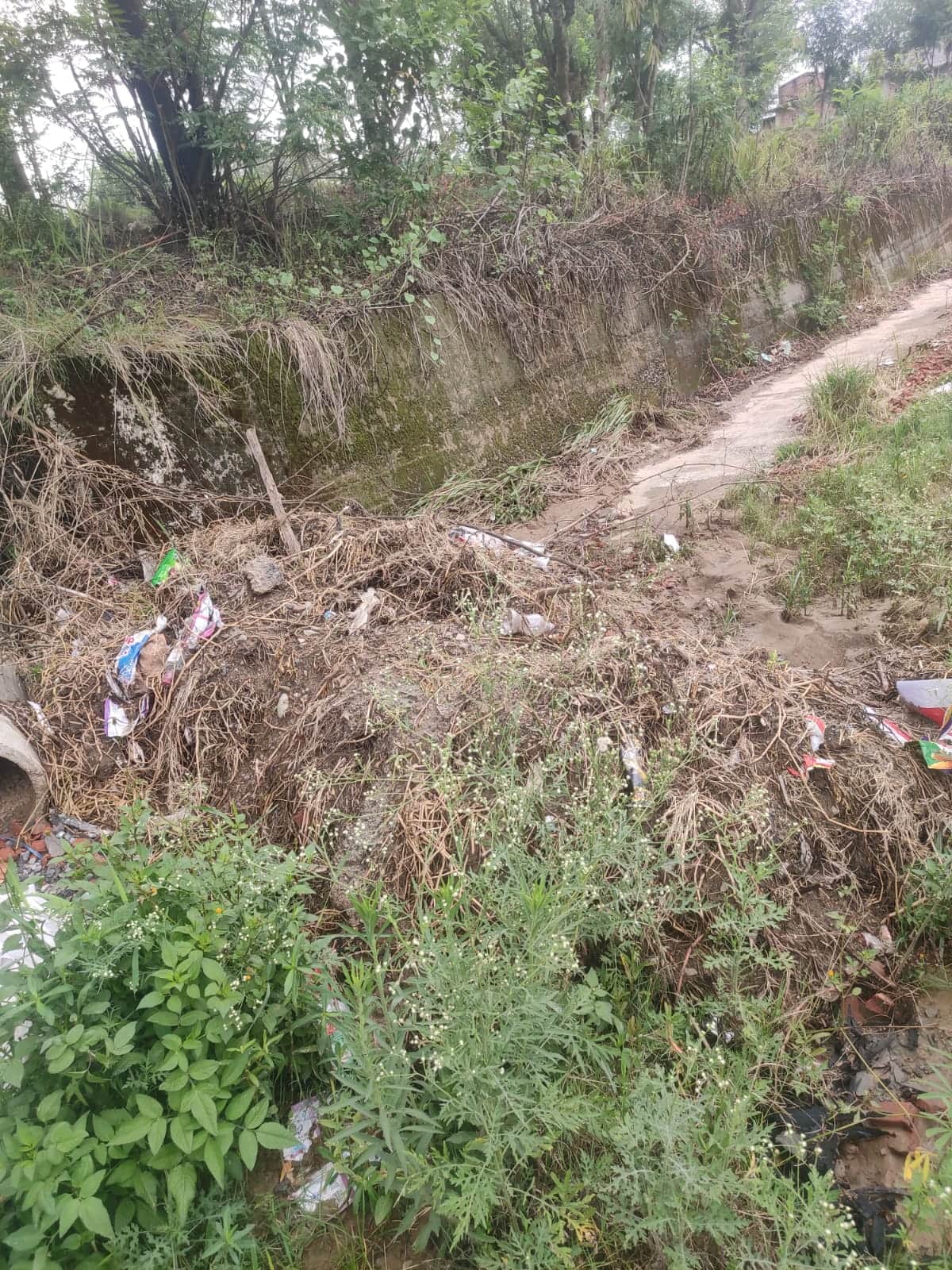 Drain blocked by piles of garbage and soil in Chhajoli; rainwater flowing onto the road.
