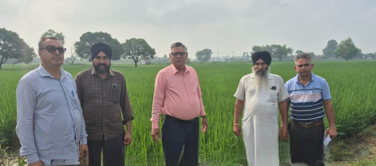 Farmers advised to regularly monitor their crops.