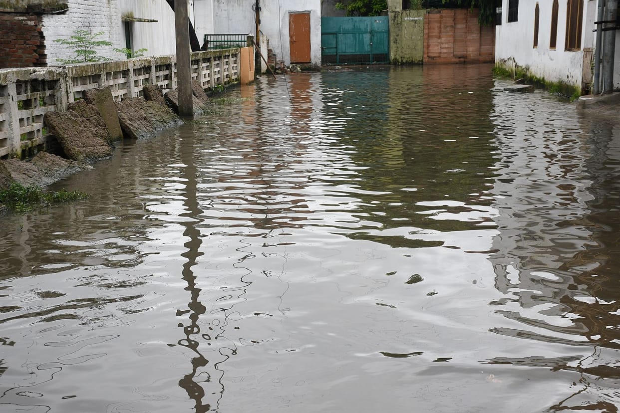 Trees fell, roads caved in, and waterlogging occurred during the rain