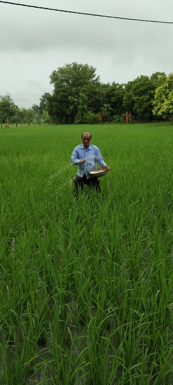 Prayagraj News: पहले पानी की चिंता, अब खाद की दौड़