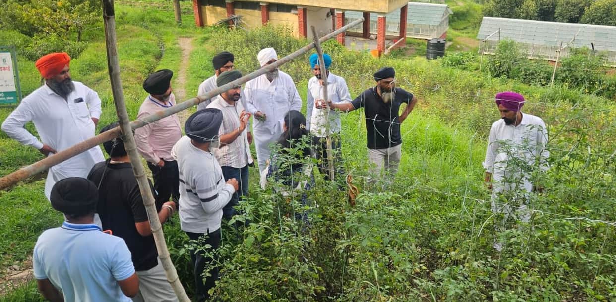 Farmers in Punjab trained in modern horticulture.