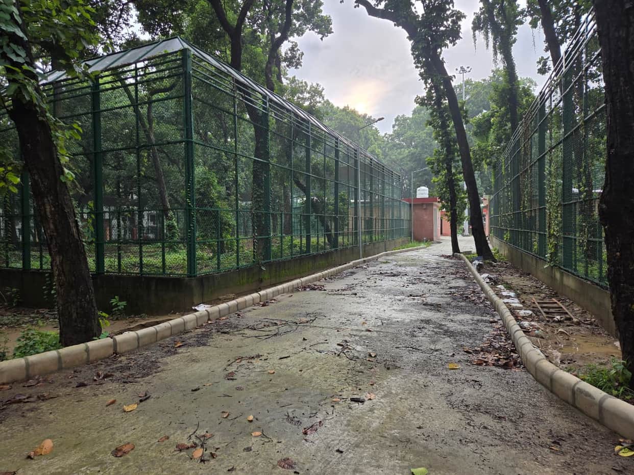 Injured tigers will no longer be helpless; their new home is ready.